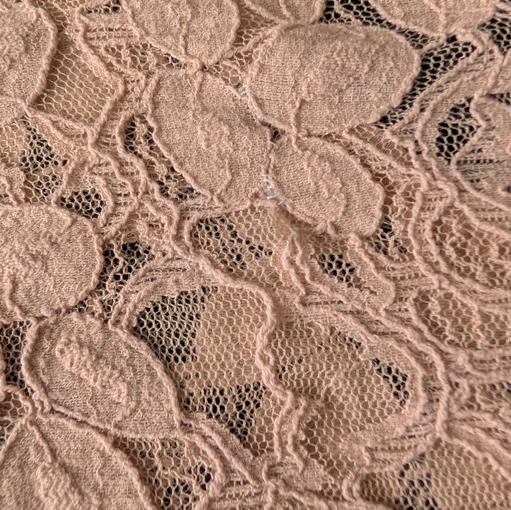 Lace Feminine Blush Pink Sheer Crop Top Coquette Fairy Romantic Kawaii Sz Small - Picture 9 of 14